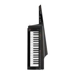 Korg RK-100S BLACK Keytar Keyboard Synthesizer