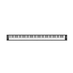 CARRY ON BA203011 FOLDING PIANO FP88, 88 KEY - BLACK