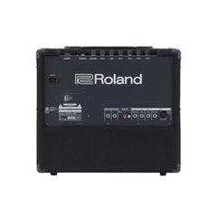 Roland KC-200 100W 12 Inch
