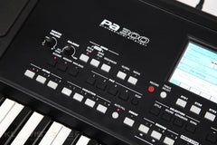Korg PA-300