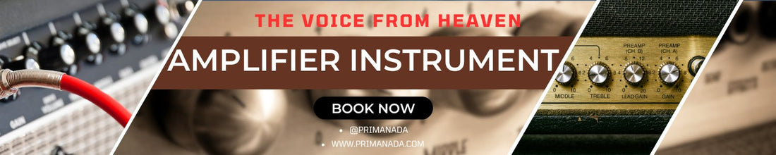 Amplifier Instruments