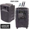 Audiocore PAV-1220 Portable Speaker