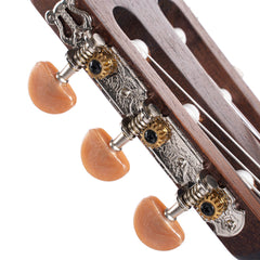 Cort AC120 CE OP Gitar Klasik Elektrik