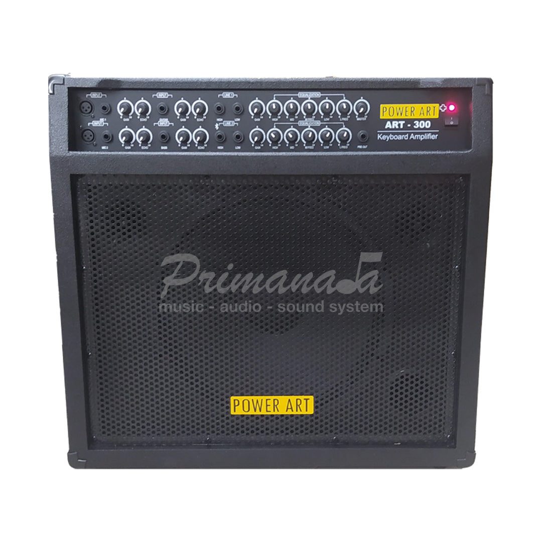 Powerart Art300+ Amplifier Multi Instrument